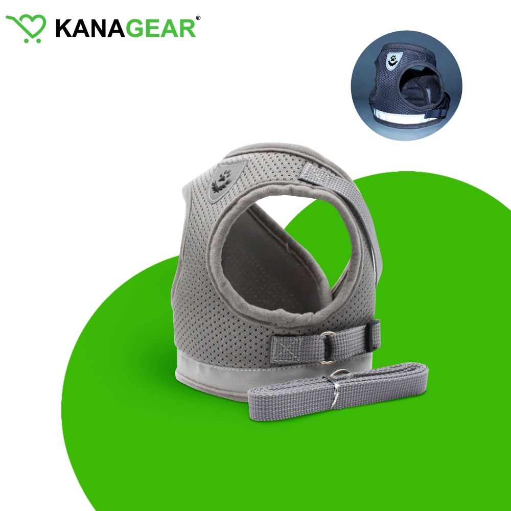 EasyWalk™ Cat Harness and Leash Set