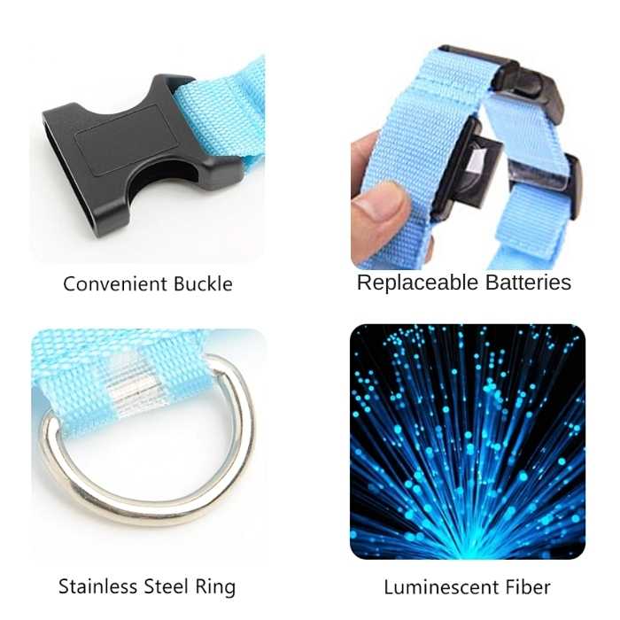 Light Up Safe-At-Night Pet Collar