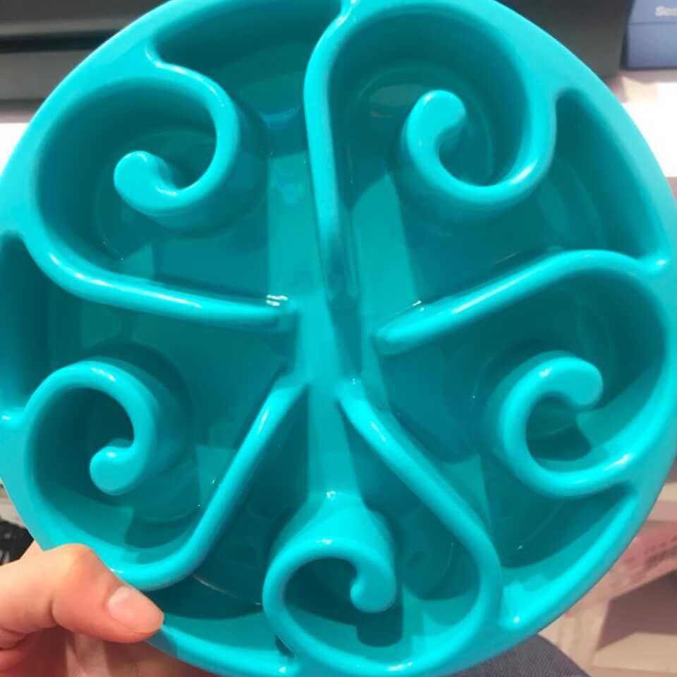 Anti-Gulp Slow Feeder Dog Bowl