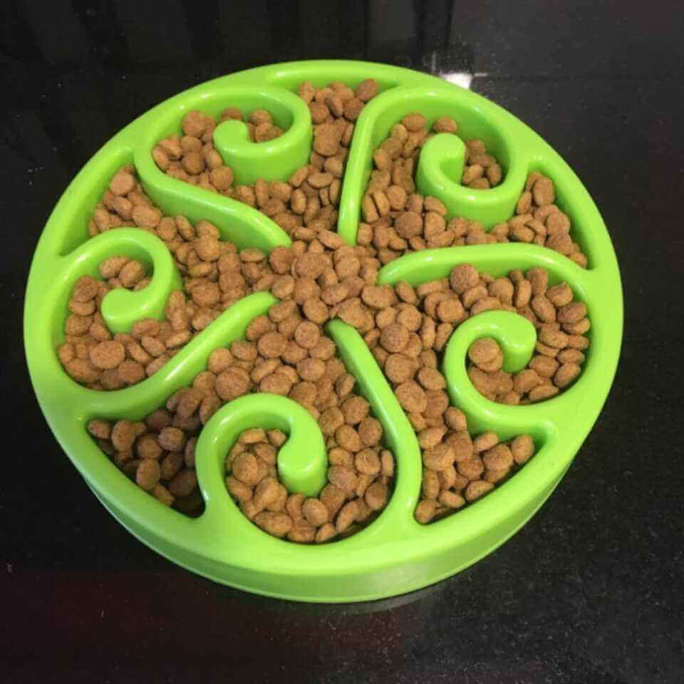Anti-Gulp Slow Feeder Dog Bowl
