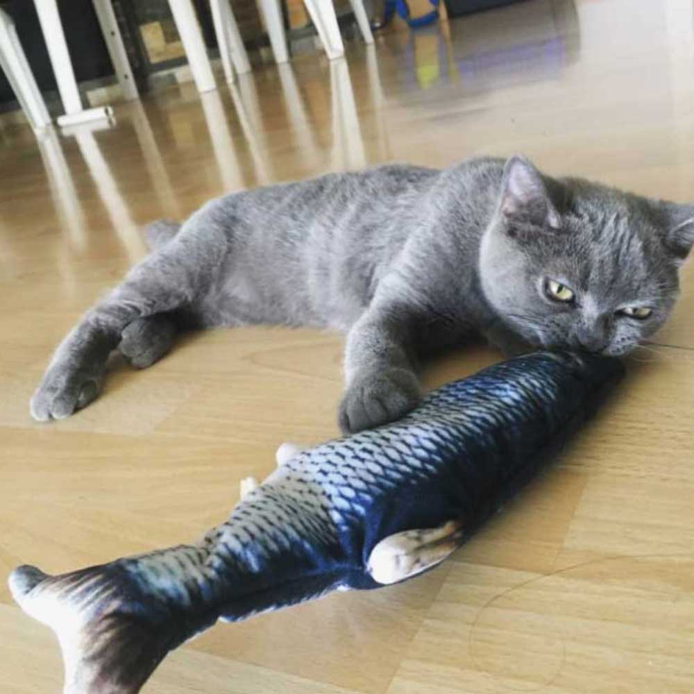 Dancing Fishy™ Interactive Pet Toy