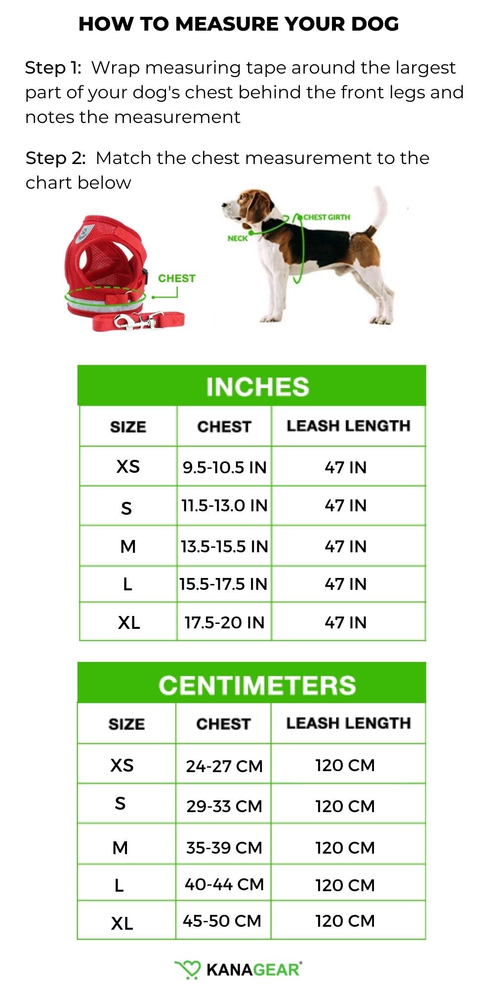 Reflective Safety Harness and Leash Set (For XXXS to M Dogs)