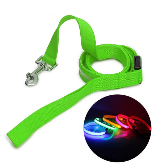 Luminous LED Leash And Collar safe at night colors high quality nylon size medium large