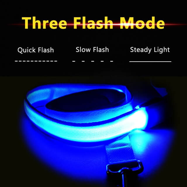 Luminous LED Leash And Collar safe at night colors high quality nylon size medium large