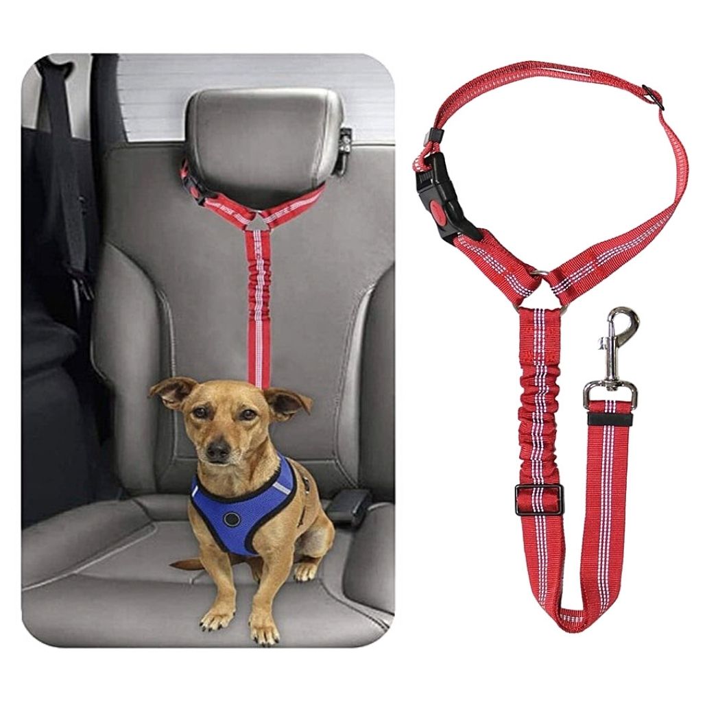 LeashBelt™ 2-In-1 Pet Seat Belt And Leash