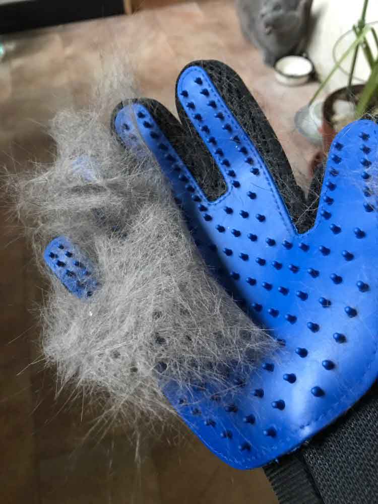 Gentle Grooming Glove discount fur hair clean brush