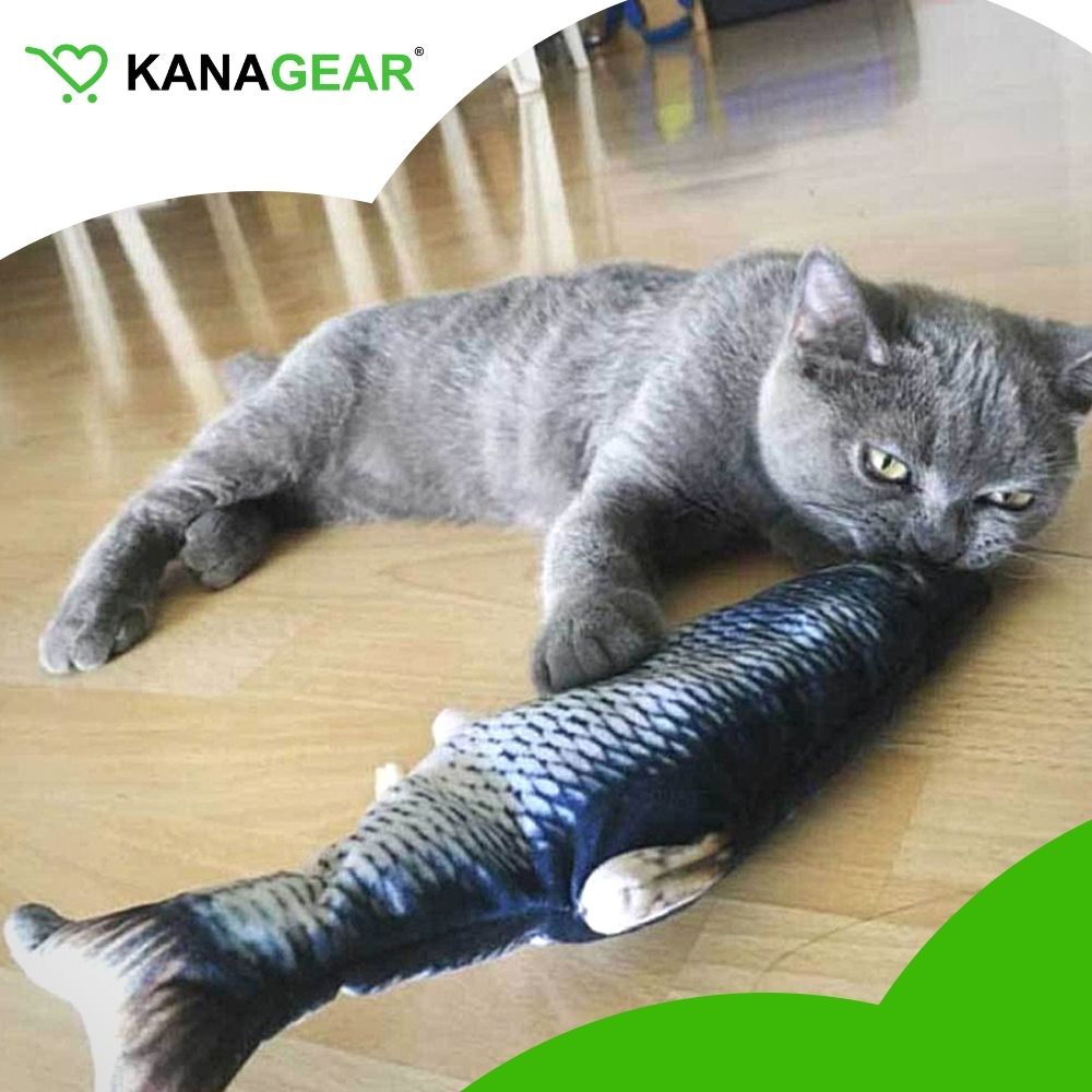 Dancing Fishy™ Interactive Cat Toy