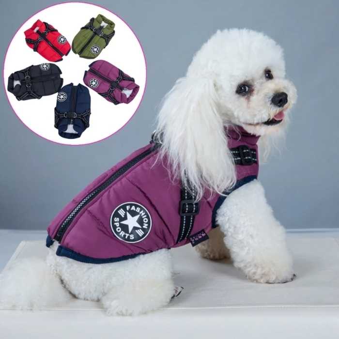 Waterproof Dog Jacket Harness (2-in-1)