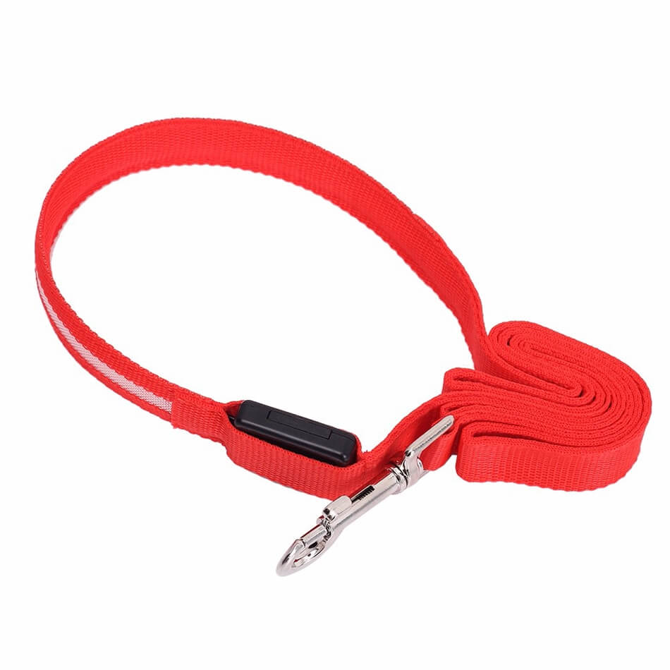 Luminous LED Leash And Collar safe at night colors high quality nylon size medium large