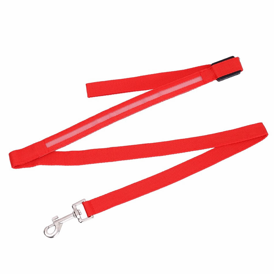 Luminous LED Leash And Collar safe at night colors high quality nylon size medium large