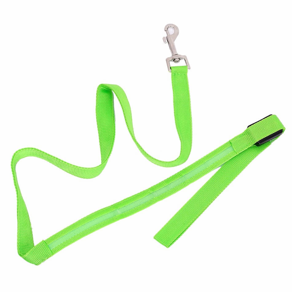 Luminous LED Leash And Collar safe at night colors high quality nylon size medium large