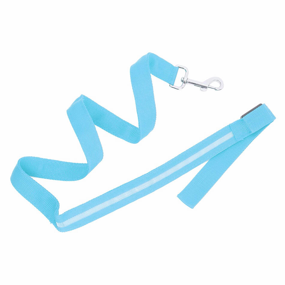 Luminous LED Leash And Collar safe at night colors high quality nylon size medium large