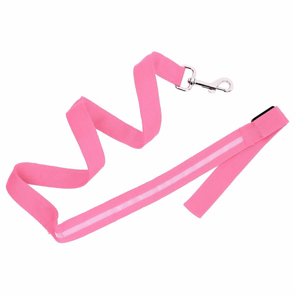 Luminous LED Leash And Collar safe at night colors high quality nylon size medium large