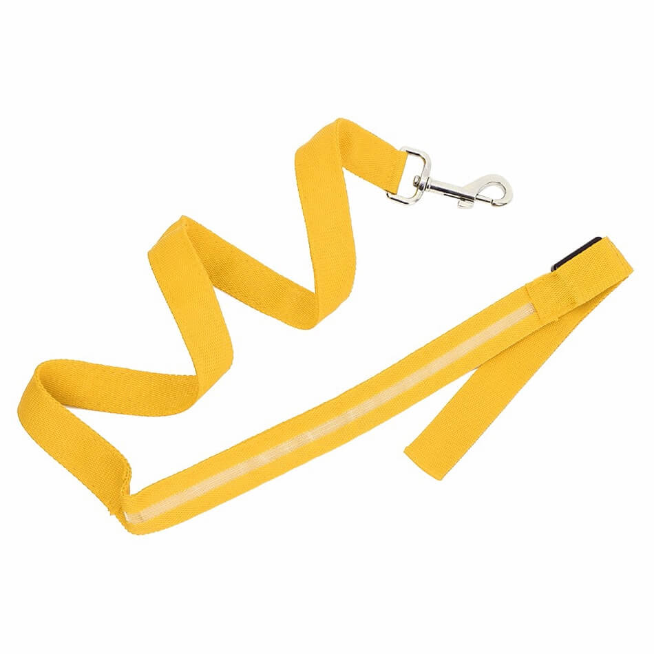 Luminous LED Leash And Collar safe at night colors high quality nylon size medium large