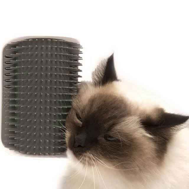discount Magic Cat Self Grooming Brush (With Catnip!) blue gray green pink baby blue black burgundy teal orange