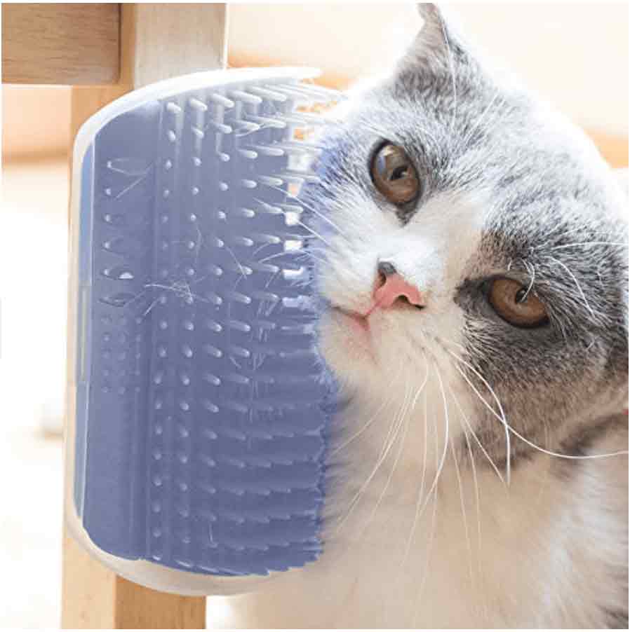 discount Magic Cat Self Grooming Brush (With Catnip!) blue gray green pink baby blue black burgundy teal orange