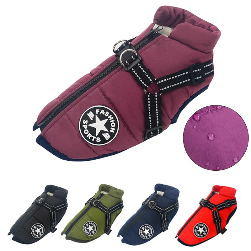Waterproof Dog Jacket Harness (2-in-1)