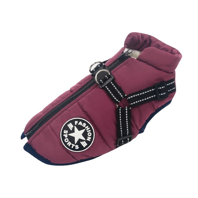 Waterproof Dog Jacket Harness (2-in-1)