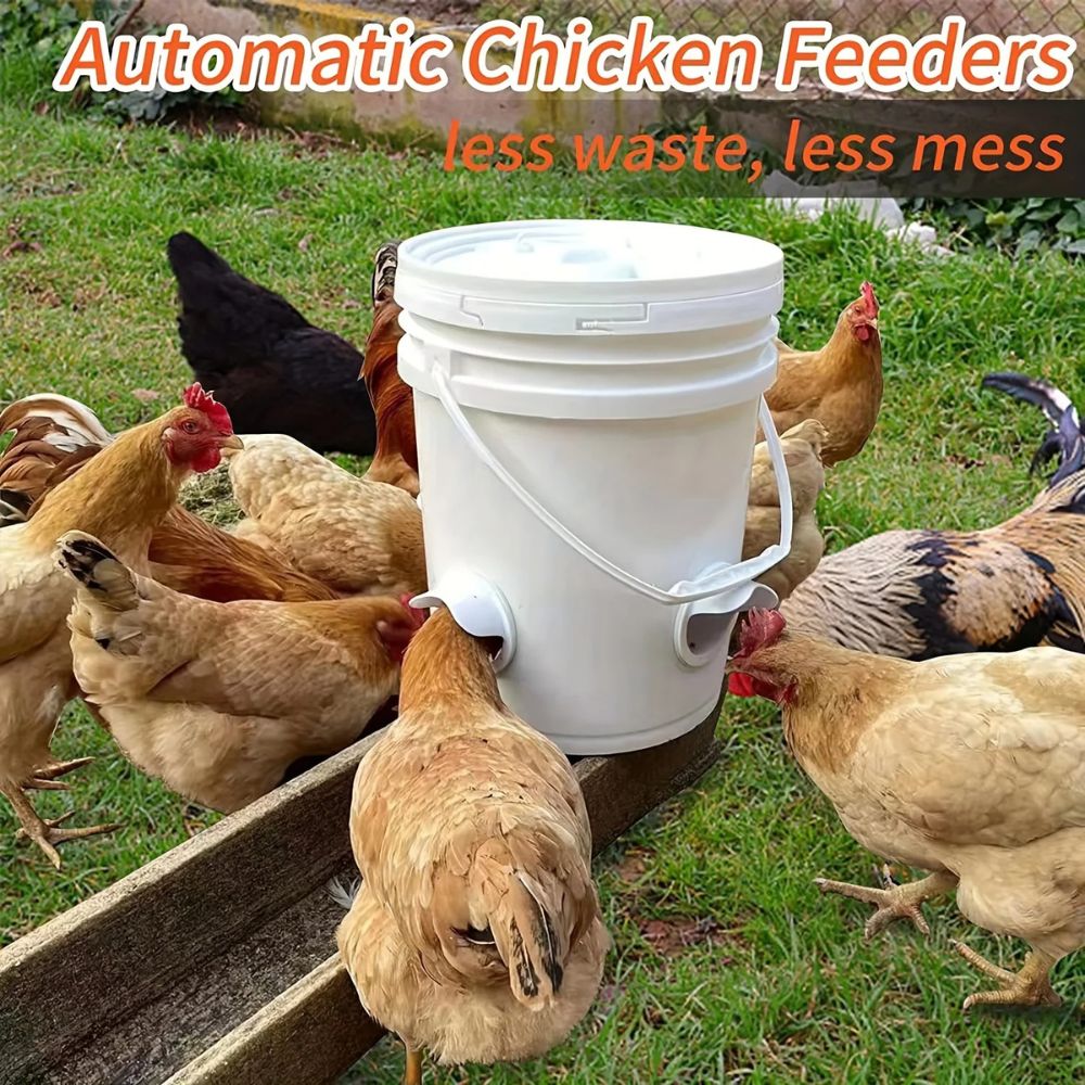 SecureFeed™ Chicken Feeding System