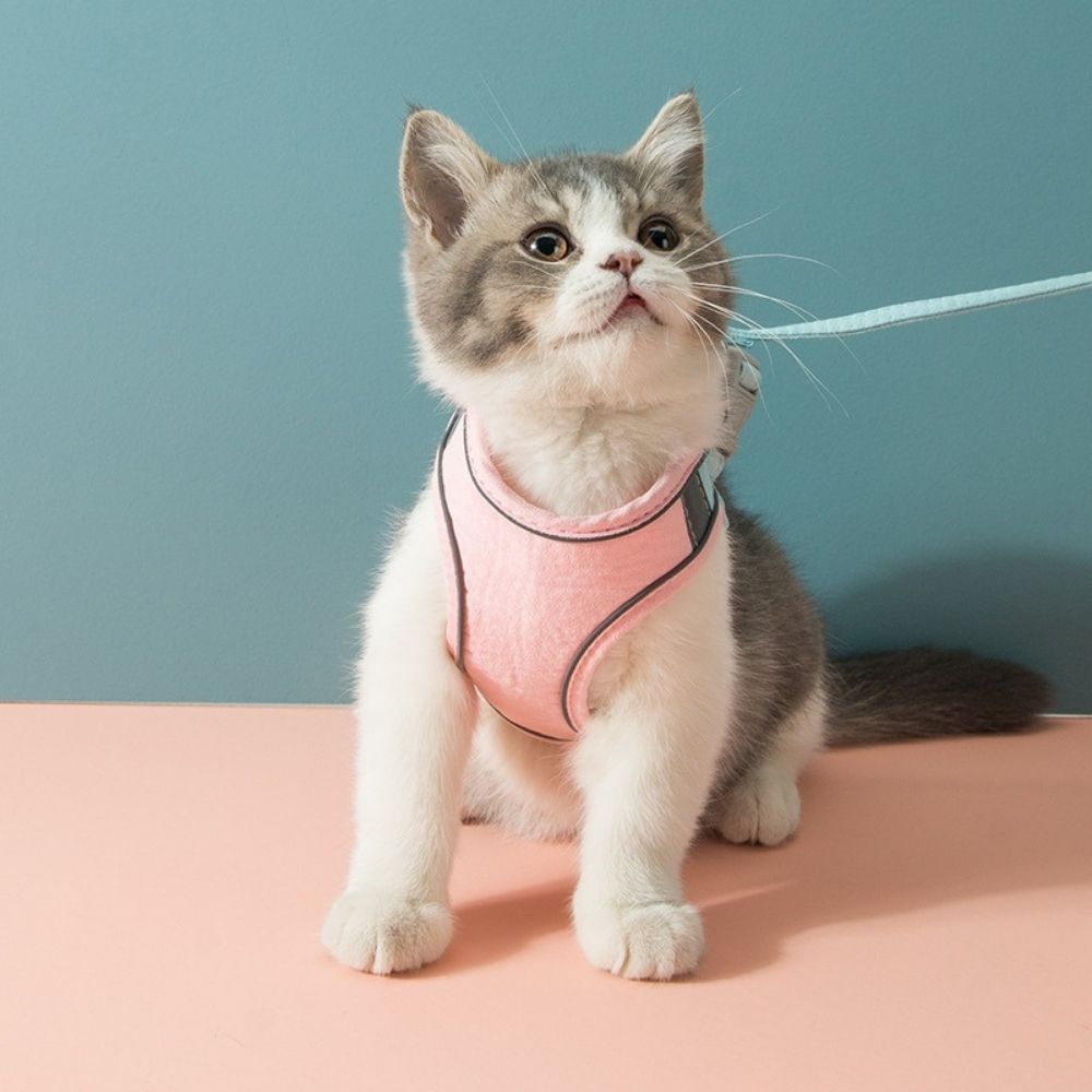 Pink cat harness and 2024 leash