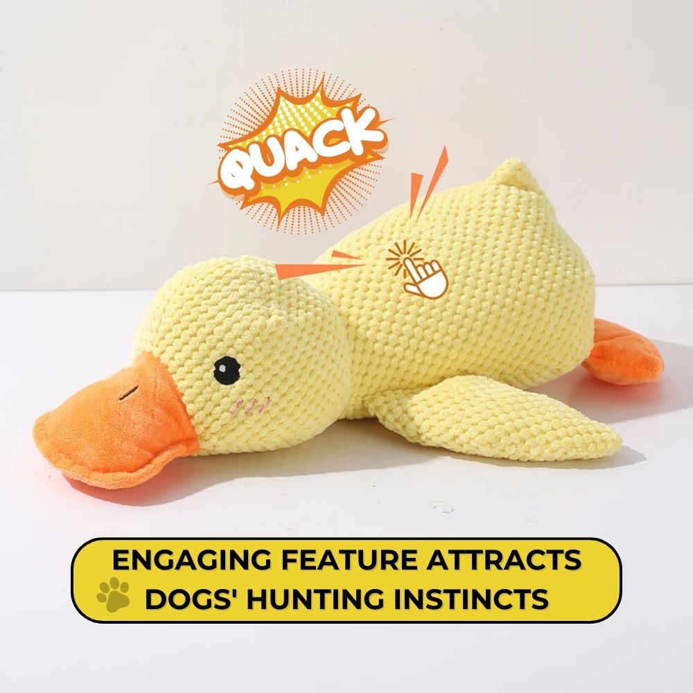 QuackPal™ Calming Duck