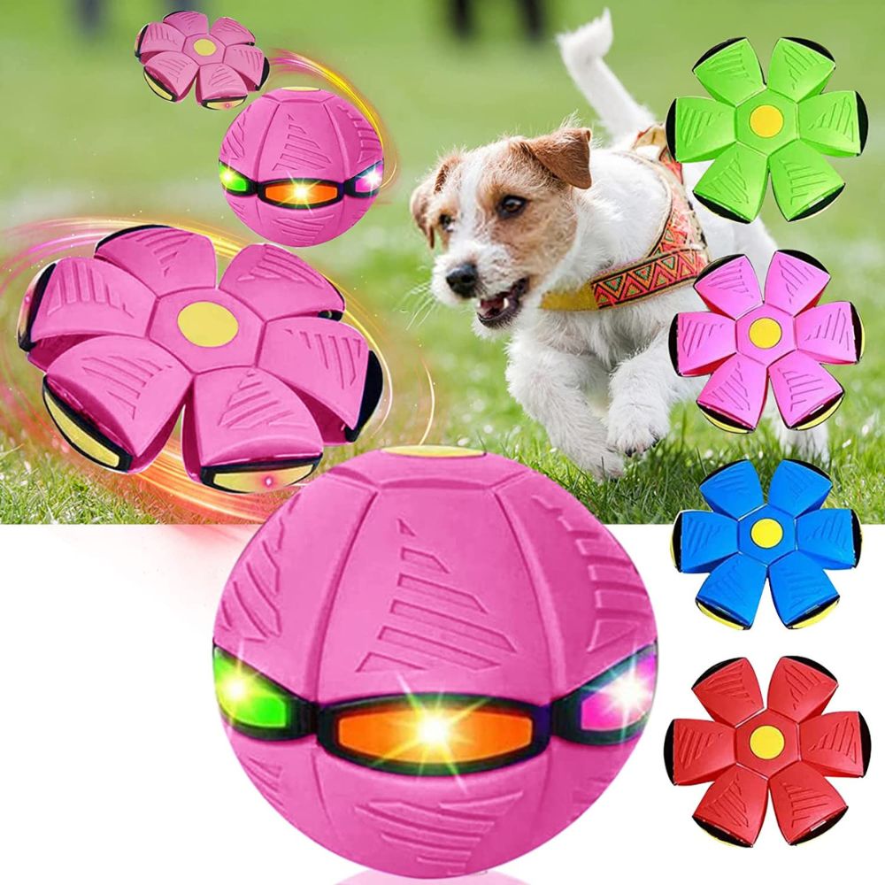 GlowGo™ Flying Saucer Pet Toy