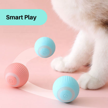 PurrPlay™ Interactive Cat Rolling Ball