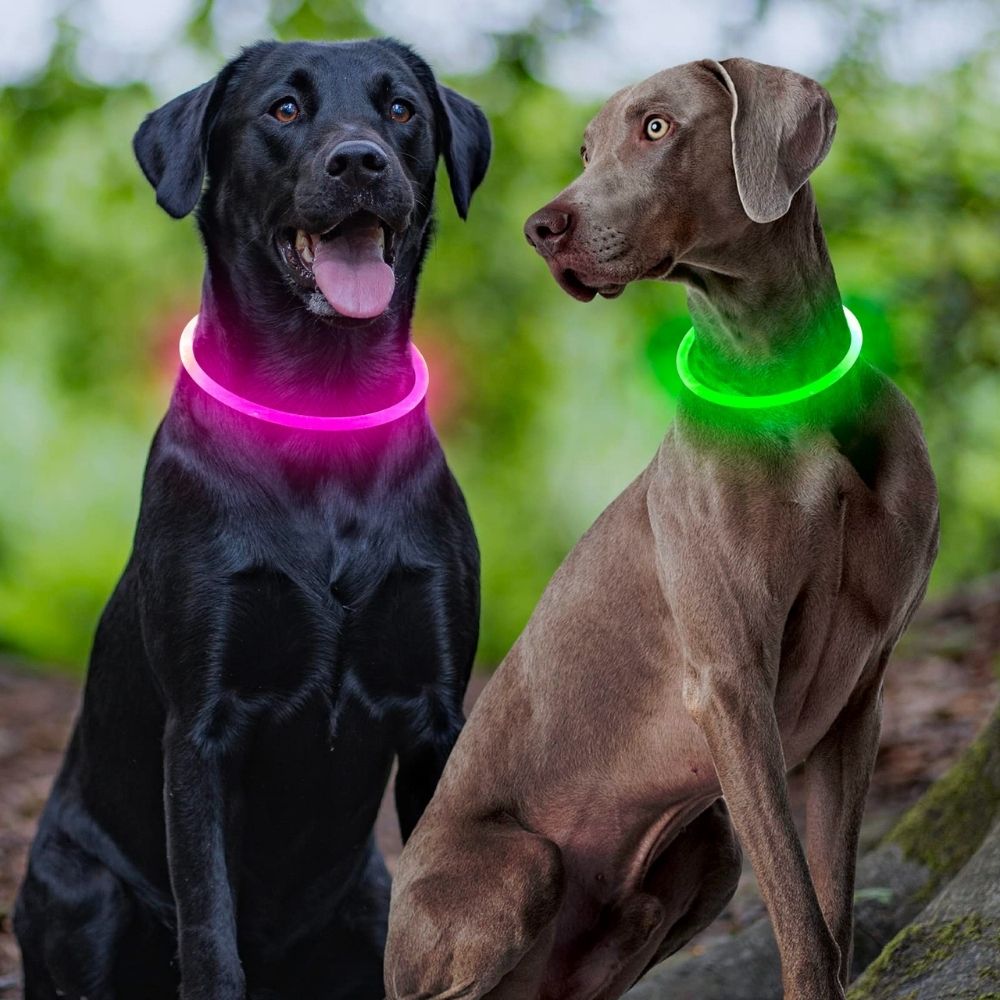 Glow Guardian™ Rechargeable LED Dog Collar