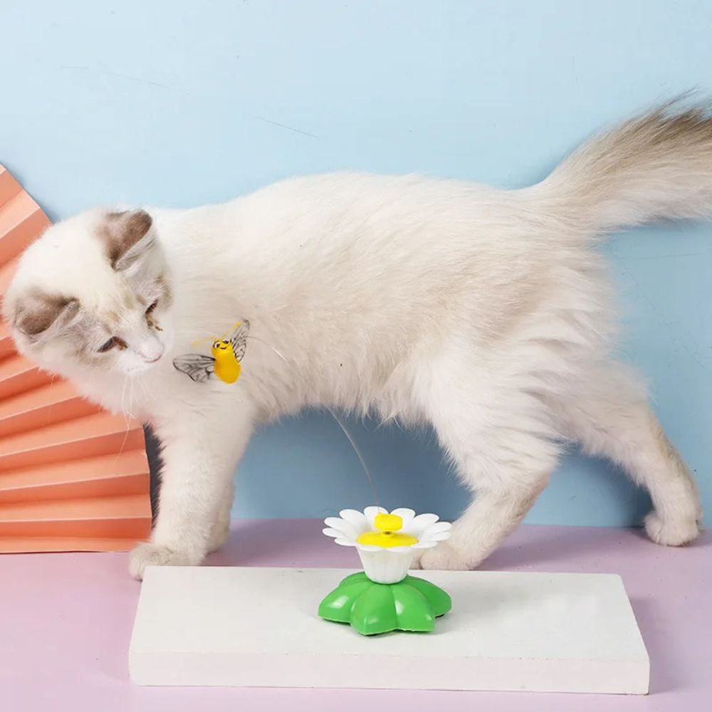 Whisker Whiz™ Interactive Cat Toy