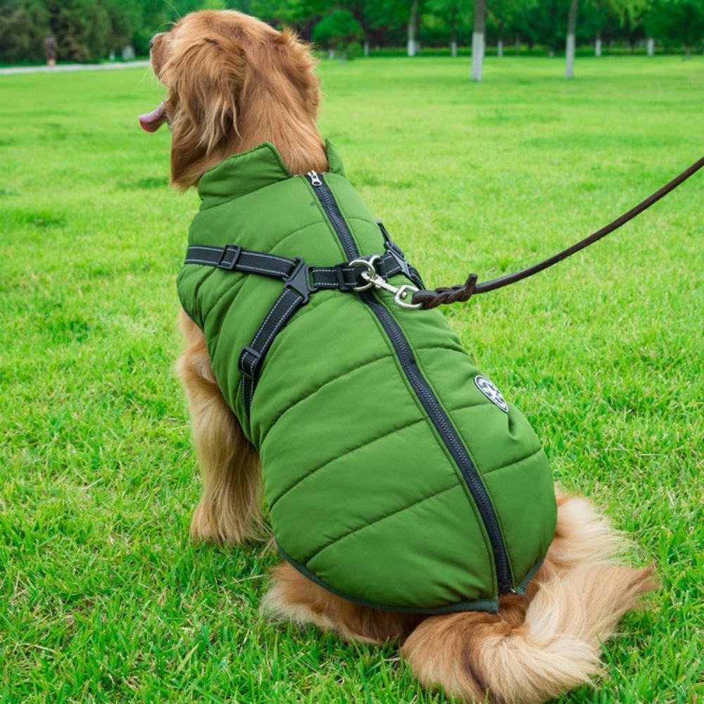 CanineGuard™ 3-in-1 Dog Jacket