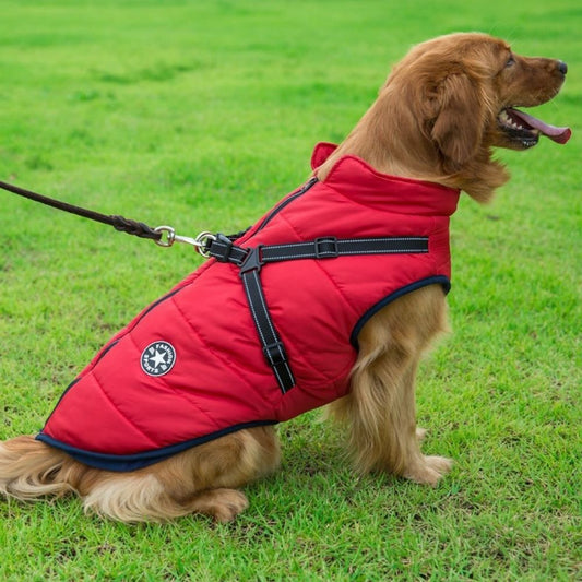 CanineGuard™ 3-in-1 Dog Jacket