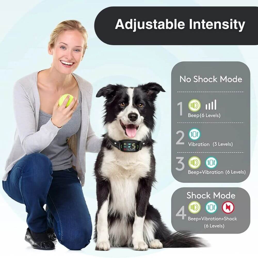 BarkMaster™ Anti Barking Training Collar