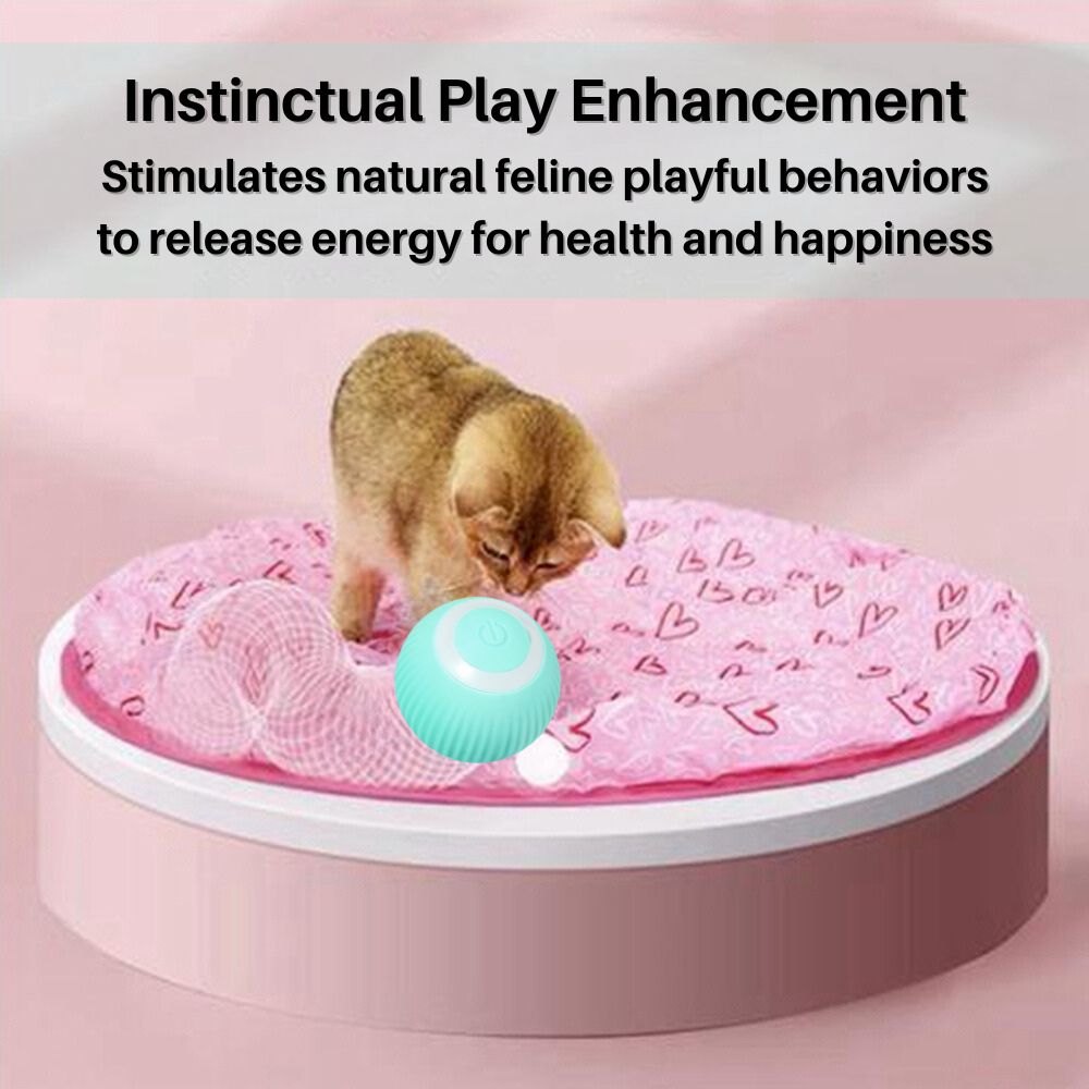 WhiskerWiz™ 2-in-1 Interactive Cat Toy