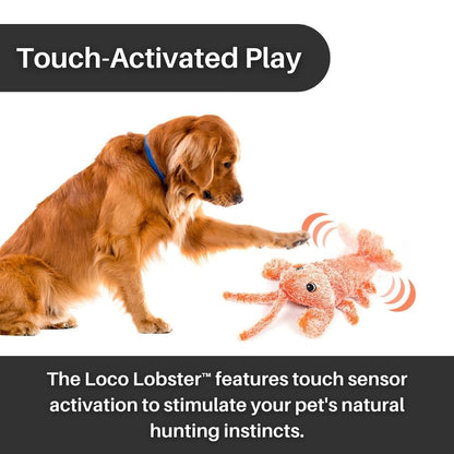 Loco Lobster™ Interactive Dog Toy