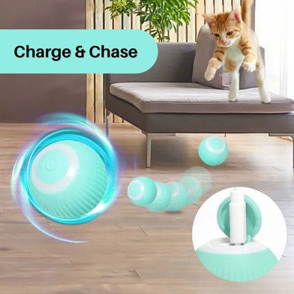 PurrPlay™ Interactive Cat Rolling Ball