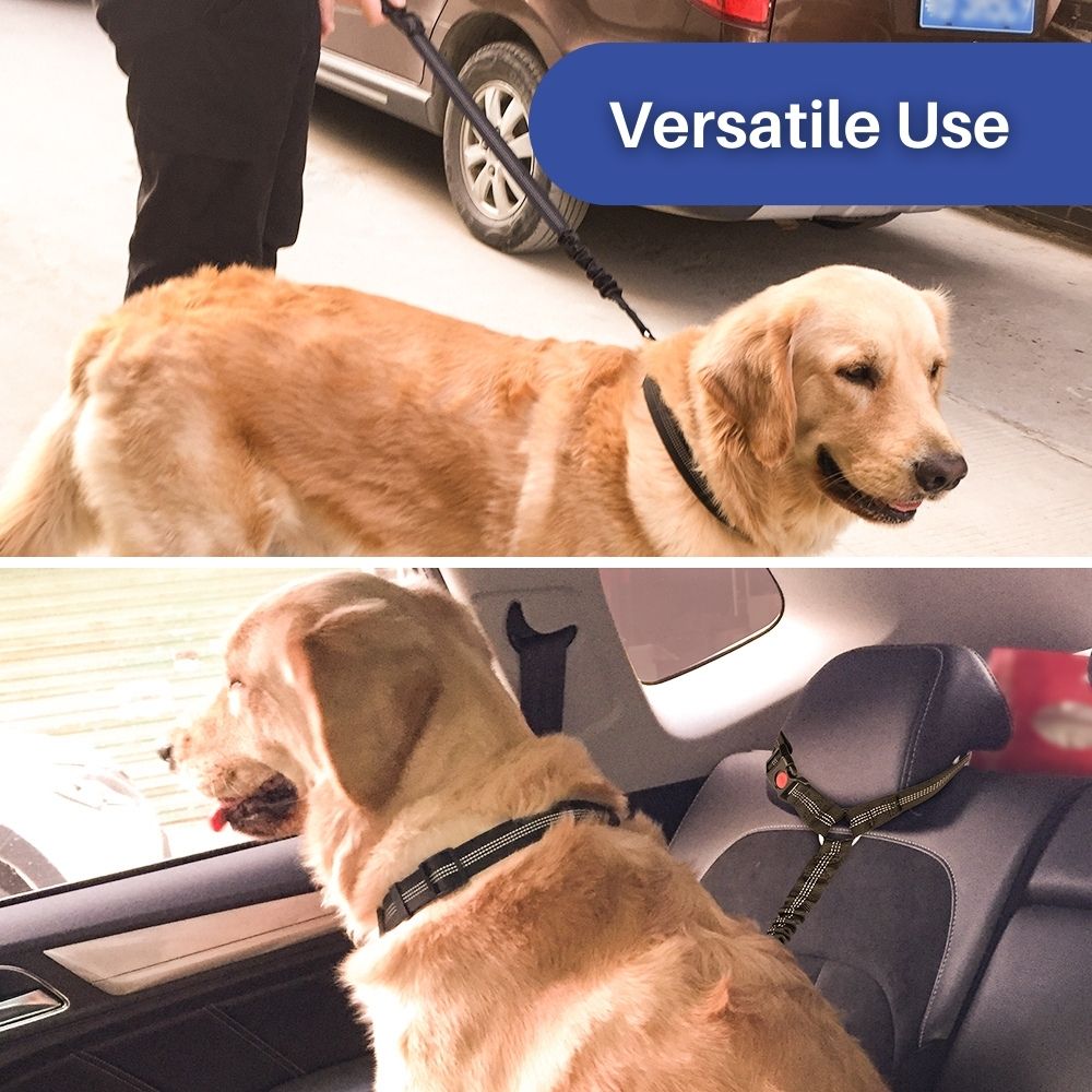 TravelBuddy™ 3-in-1 Dog Seat Belt and Leash