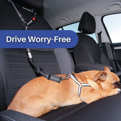 TravelBuddy™ 3-in-1 Dog Seat Belt and Leash