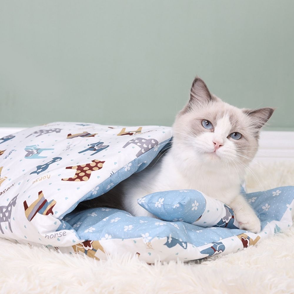 Cat bed with clearance blanket