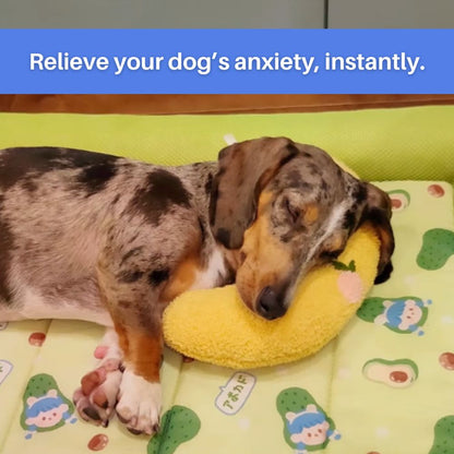 Cuddle Cushion™ Calming Dog Pillow Offer