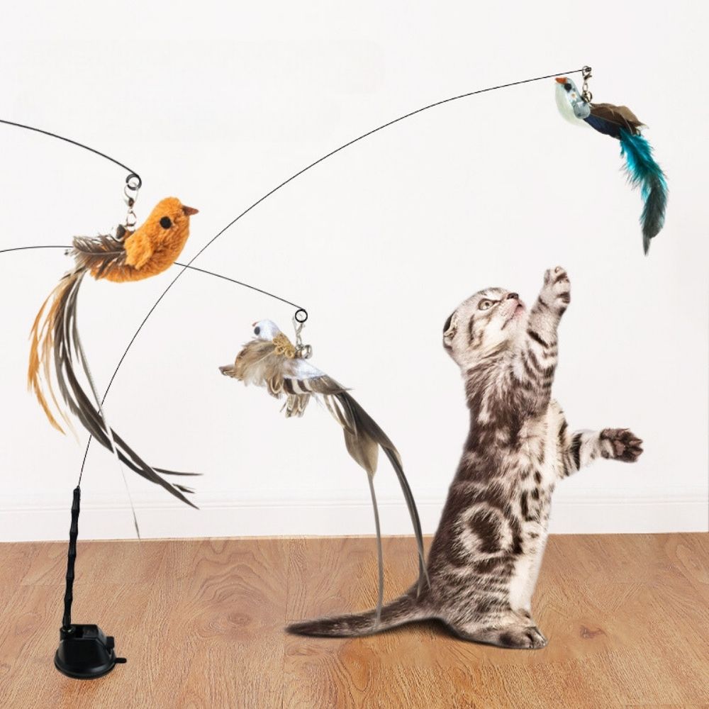 Feather Frenzy™ Interactive Cat Toy