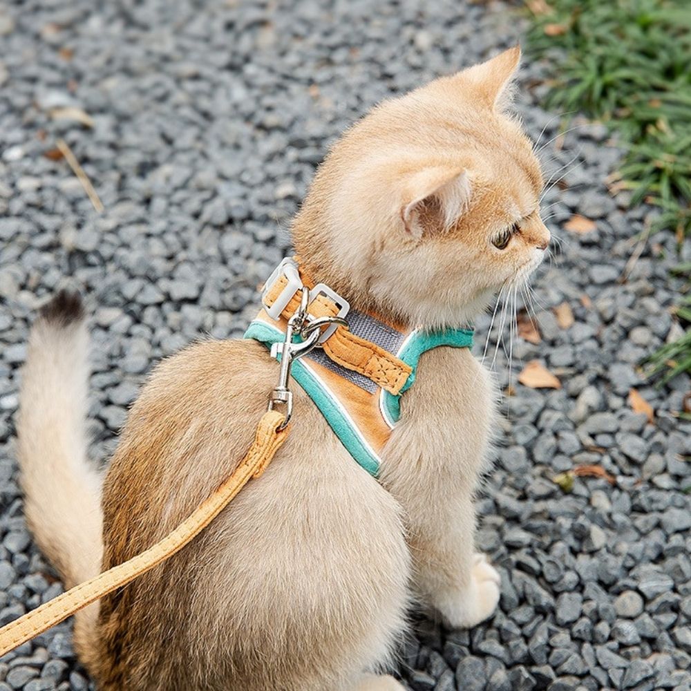 Pawfectly Safe™ Cat Harness And Leash Set - KanaGear