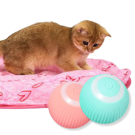 WhiskerWiz™ 2-in-1 Interactive Cat Toy