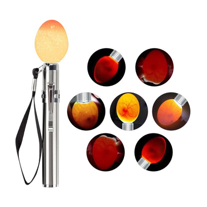 HatchMaster™ Egg Candler Illuminator for Chickens, Ducks, Geese, and more