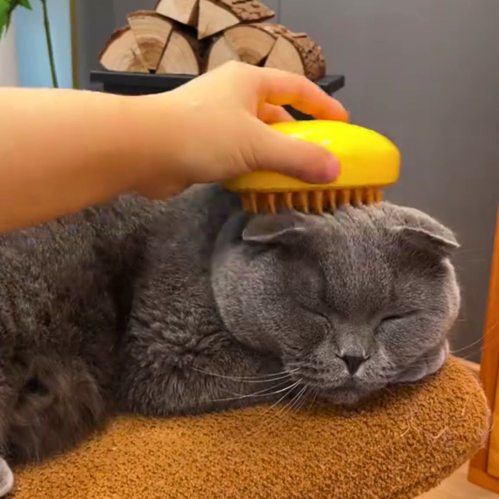 PurrSpa™ Steamy Cat Brush Special Offer