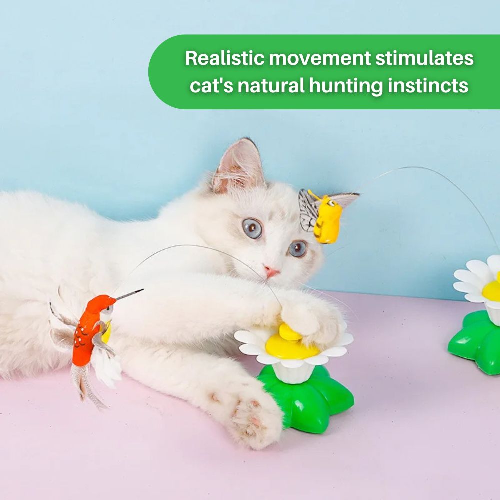 Whisker Whiz™ Interactive Cat Toy