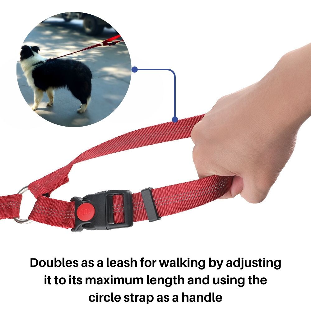 TravelBuddy™ 3-in-1 Dog Seat Belt and Leash