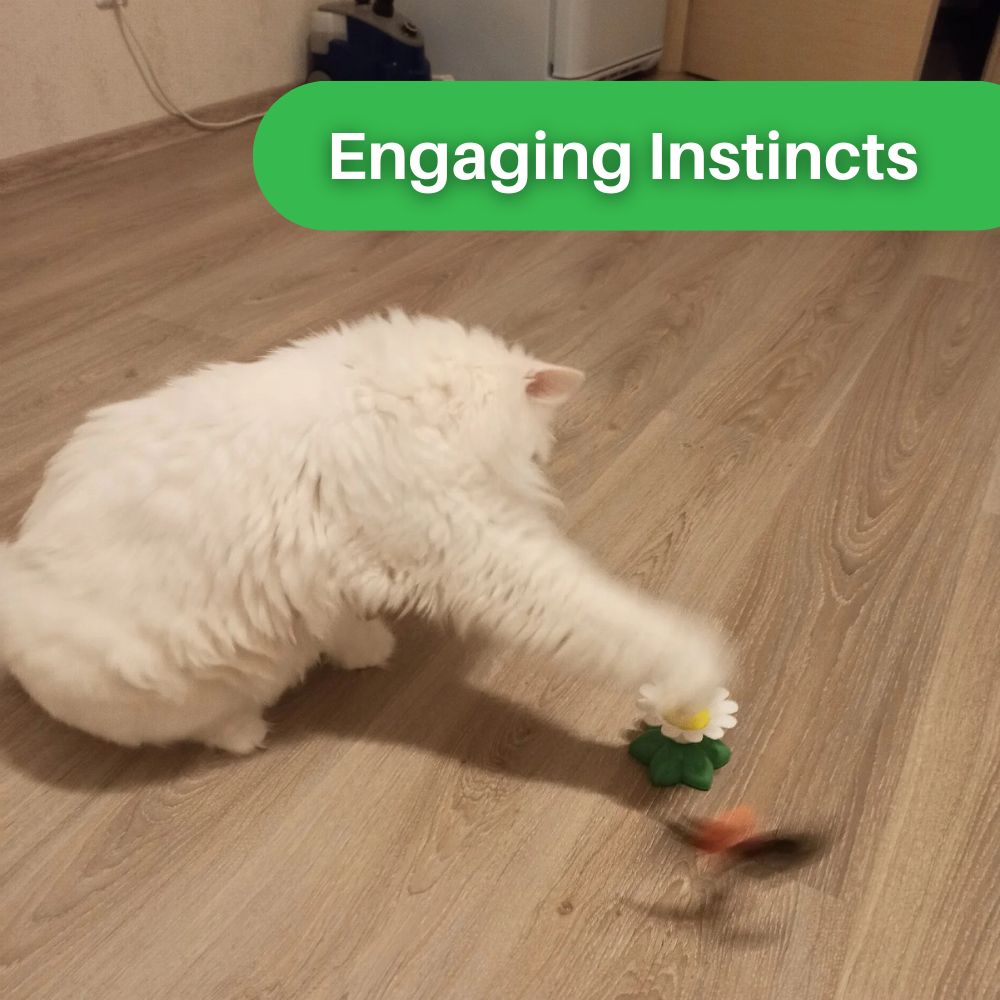 Whisker Whiz™ Interactive Cat Toy