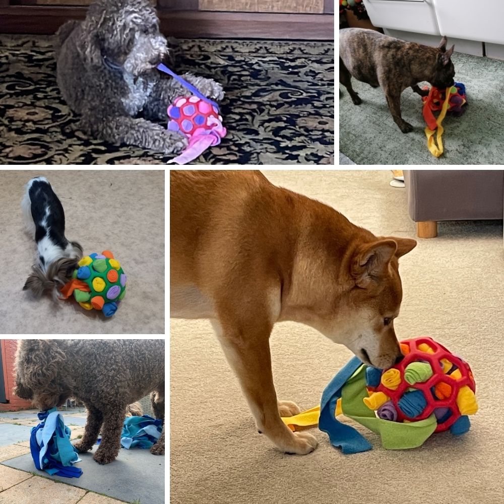 Puzzle Dog - Make your own snuffle ball The snuffle ball