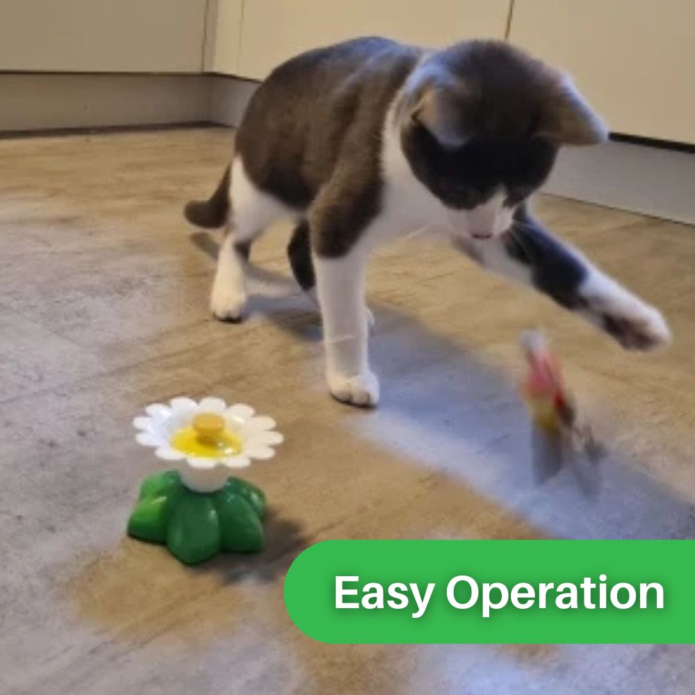 Whisker Whiz™ Interactive Cat Toy