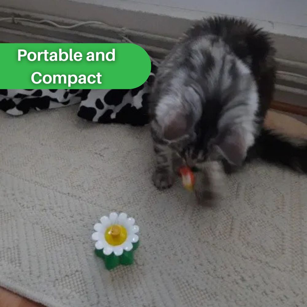 Whisker Whiz™ Interactive Cat Toy